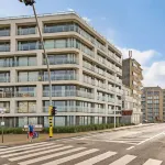 놀라운 해변 전망이 있는 아늑한 아파트먼트