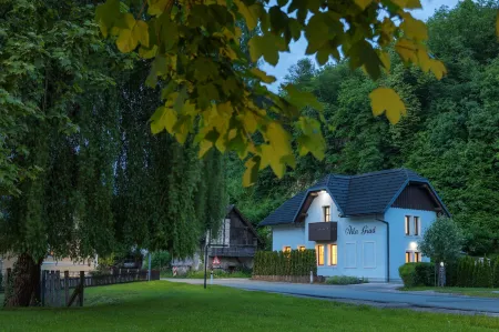 Vila Grad Отели рядом со станцией Bled Jezero