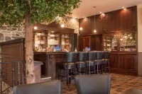 Hotel de Lange Man - bar