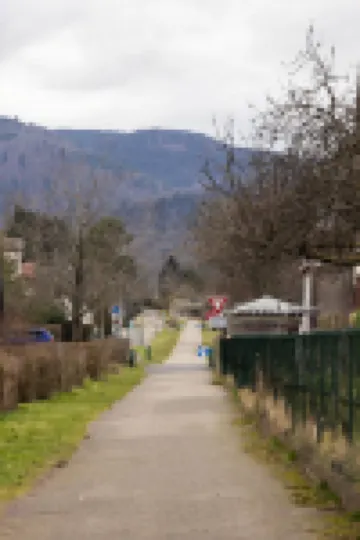 L'Oasis des Coccinelles
