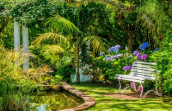 Waitakere Resort & Spa Hotels near Waitakere