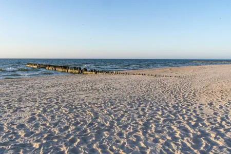 Patio Przytulny Apartament Blisko pla y Отели в г. Rogowo