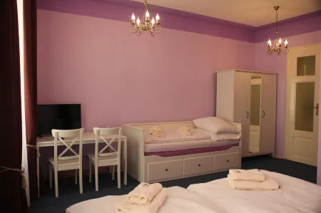 Penzion U Lucerny Отели в г. Nova Bystrice