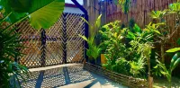 Lipe Oasis Resort Hotels in Koh Lipe