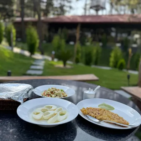 Adimount-Kumaon Eco Resort