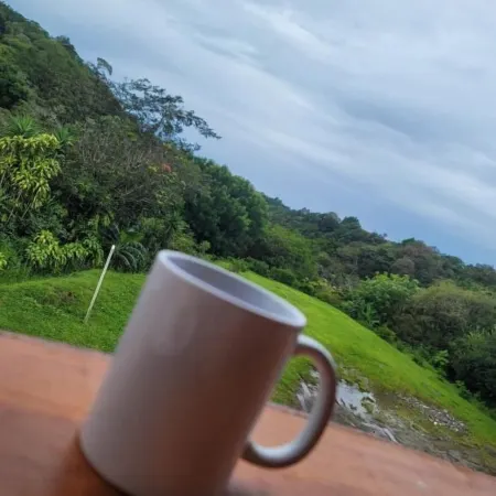 Cabinas Selva Verde