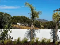 2 Bedrooms apartment with pool and 3 baloconies in green surroundings