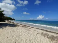 10% Off January. Book 7 Nights+ and Save. Paradise Awaits.