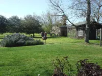 Romantic Sonoma Cottage On 1 Acre in Wine Country Các khách sạn gần Maxwell Farms Regional Park