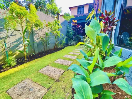 Amazing view duplex house