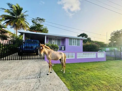 Purple Sunset - Walk to Malecon & Beaches