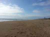 The palm house with sea views