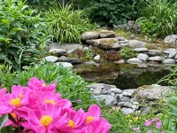 Chalet Sean, peaceful retreat on beautiful mountain brook and walk to river..