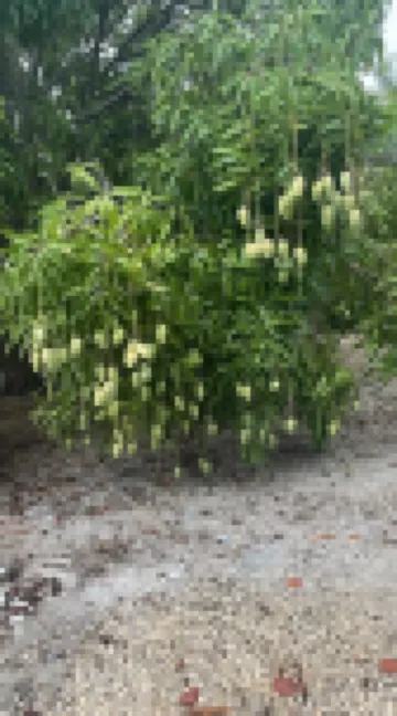 Country Road, Take me Home- your own Island Cottage!