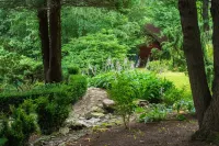 Hanna House - a forest oasis of peace and relaxation