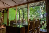 Canopy Wonders House: A Place Among Tree Tops!