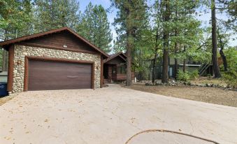 Arctic Wolf at Summit Base