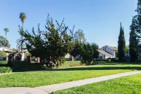 Disneyland Family home near Beach & Walk to zoo. Super central.