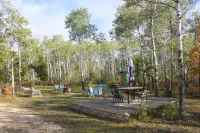 Micro-cabin nestled in secluded forest