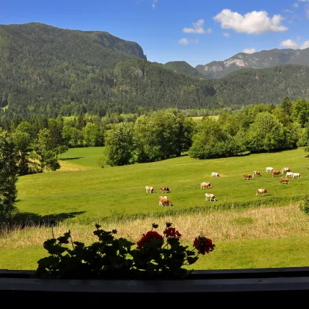 Nature Hotel Lukanc