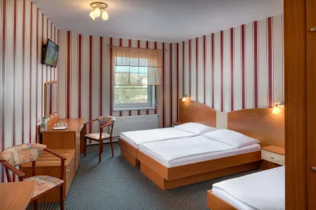 Wellness Hotel Babylon Отели рядом с достопримечательностью «DinoPark Liberec Plaza»