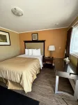 Travellers Inn Hotel di Pembroke