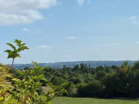 蘋果樹莊園