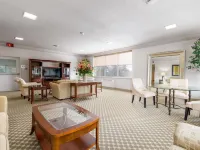 Guest House on the Mount Hotels in London