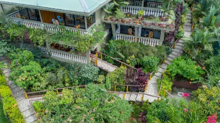 Jacamar Corcovado Drake Bay