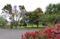 Astral Motel Hotels in Whanganui