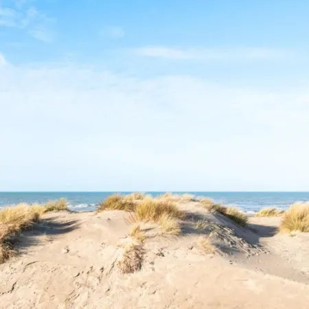 Apartment in Oostduinkerke with Sea View