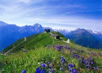 Apartment in Ramsau Near Ski Slopes - Homestays