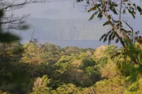 Villa Bruno - Terrace - Jungle - Birdwatching Hotels in Carate