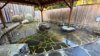 Hotel Heritage - avec sources thermales