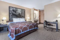 Super 8 by Wyndham Fort Dodge IA Hotels in Fort Dodge