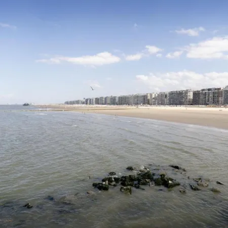 Chalet in de Haan Near Sandy Beaches