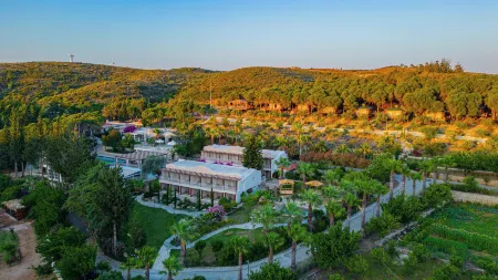 Kairos Valley Wellness & Longevity