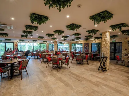 Mahogany Suites Отели в г. Веракрус