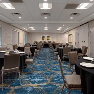 Hilton Garden Inn Detroit Metro Airport