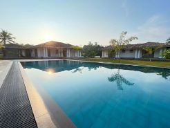 Privet Bungalow Oak Tree