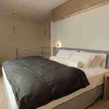 Beautiful Penthouse Duplex in the best LP area Rooms