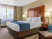 Comfort Inn Albuquerque Airport Hotels in Bernalillo County