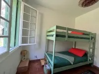 Charming house surrounded by olive trees
