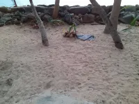 Moonshine Beach apartment