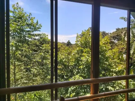 Amanecer Amazonico - Rustic cabin with Amazon rainforest view