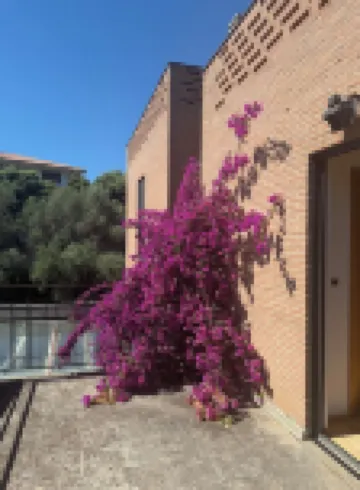 Villa Amyra, your view to dream stay in the beautiful Abruzzo region.