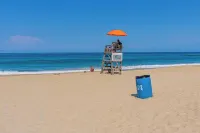 Counting Pelicans + Ocean View + Pelican Hunt in Kill Devil Hills, NC