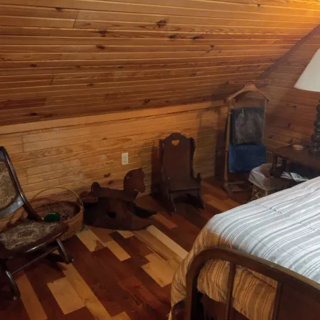 Cozy cabin in the woods. Peaceful and only 15 minutes to Mountain View.