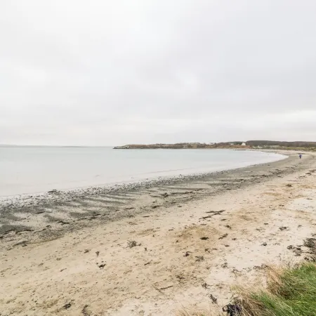 Pentowyn