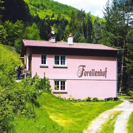 Apartment in Alsace with Nature Retreat